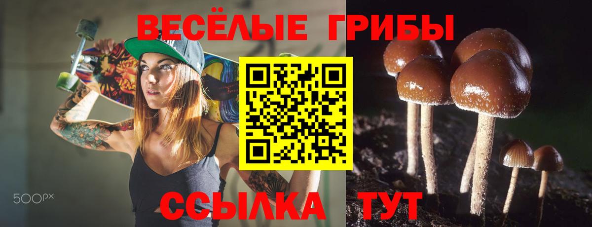 Галлюциногенные грибы Psilocybine cubensis  Галлюциногенные грибы прущие грибы  Рузаевка  Вход с VPN 